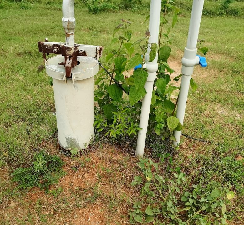 WhatsApp Image 2025-07-30 at 1.15.41 PM