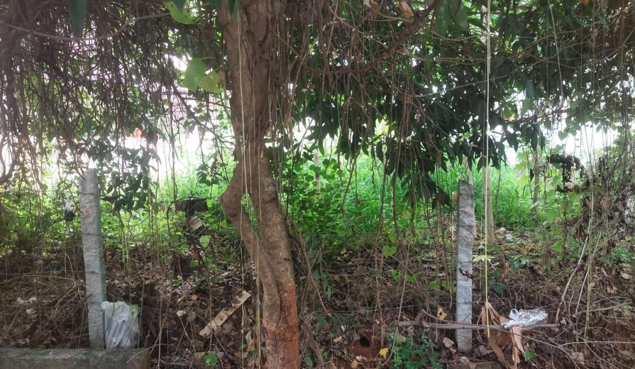 residential_plot-for-sale-hebbal-Bangalore-plot_view