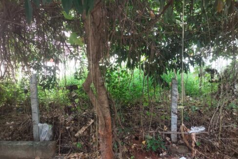 residential_plot-for-sale-hebbal-Bangalore-plot_view