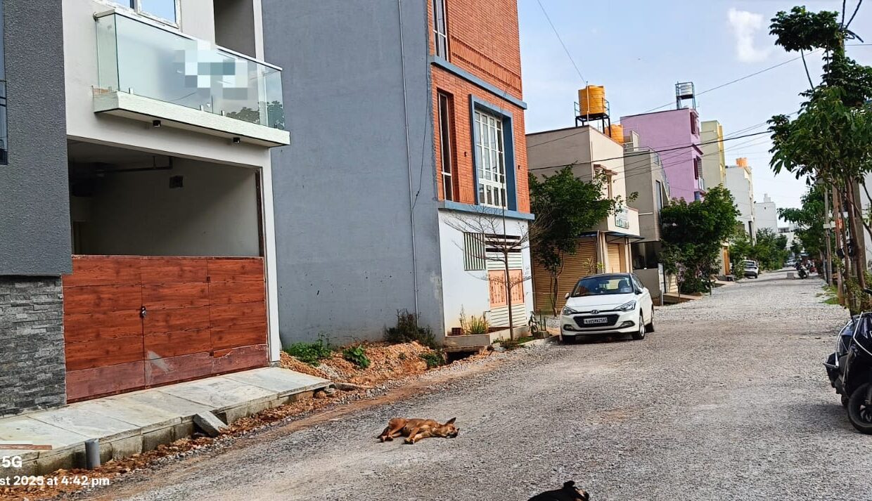 WhatsApp Image 2025-08-06 at 1.21.07 PM (2)