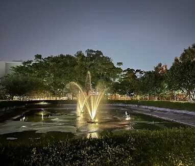 WhatsApp Image 2025-08-14 at 1.00.02 PM