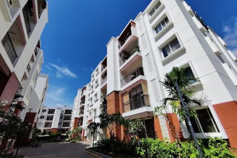 WhatsApp Image 2025-08-14 at 12.57.51 PM