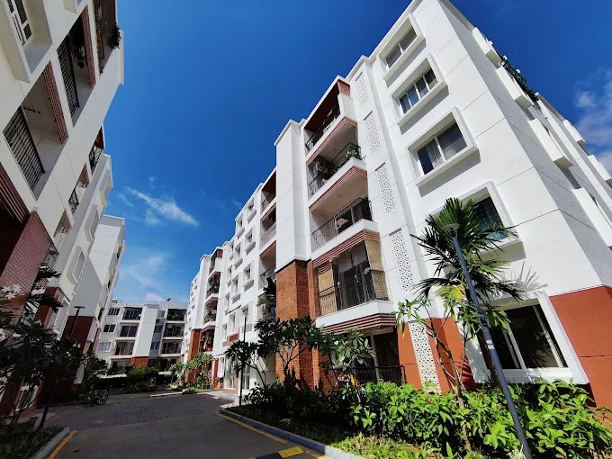 WhatsApp Image 2025-08-14 at 12.57.51 PM