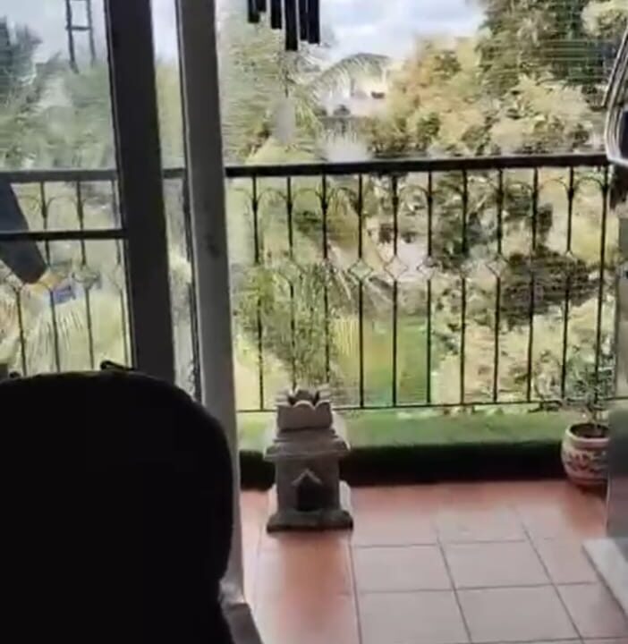 WhatsApp Image 2025-08-14 at 2.08.24 PM (2)