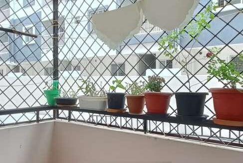 WhatsApp Image 2025-08-15 at 11.58.43 AM (1)