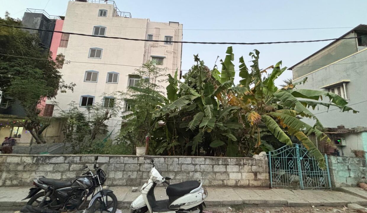 WhatsApp Image 2025-08-16 at 12.07.59 PM