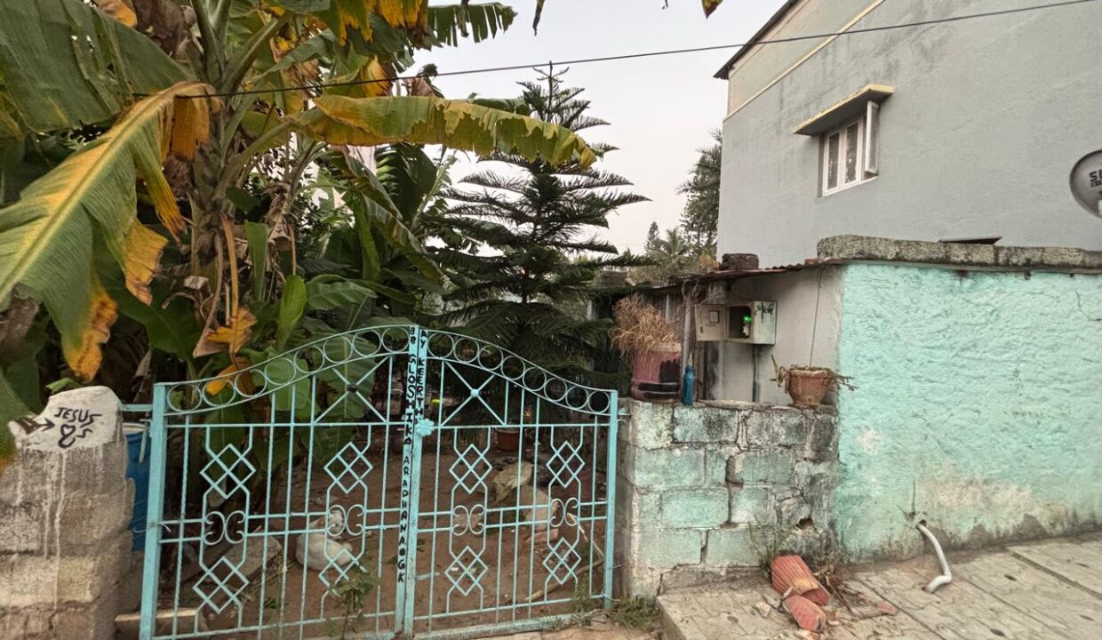 WhatsApp Image 2025-08-16 at 12.08.00 PM