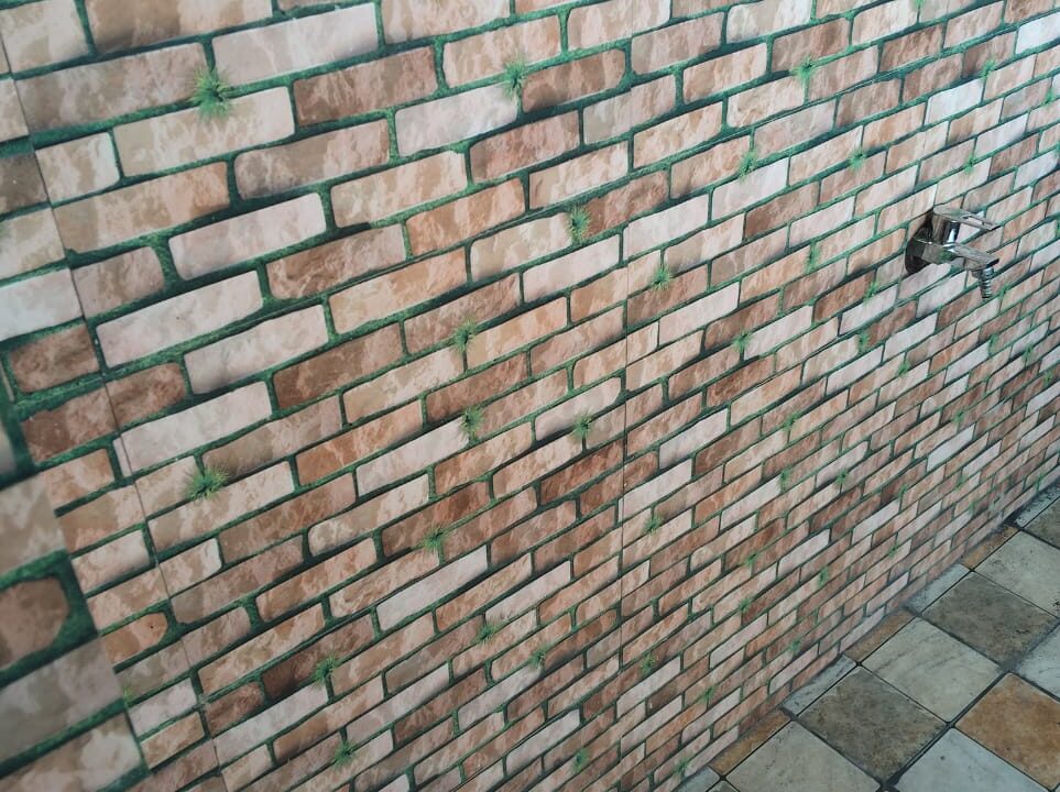 WhatsApp Image 2025-08-16 at 6.12.04 PM (1)