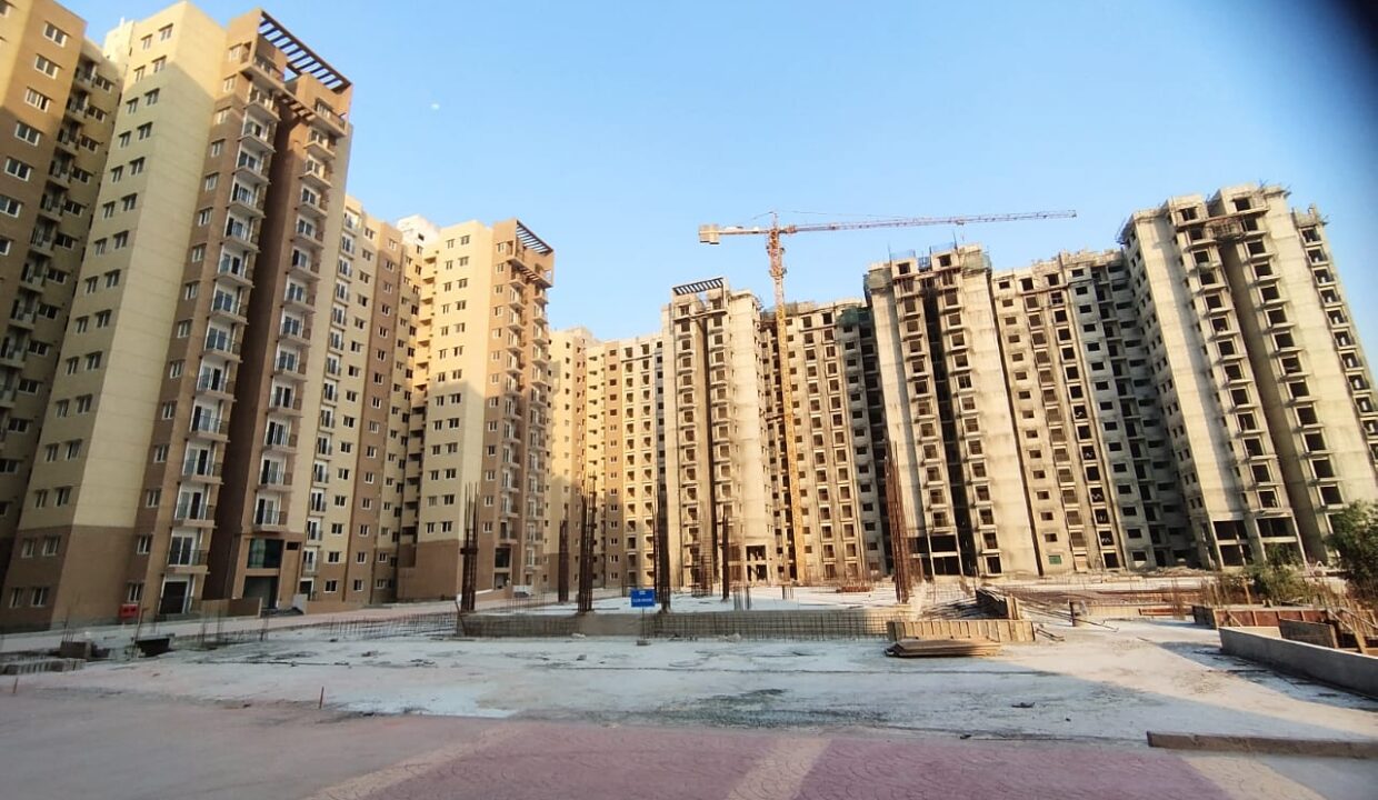 WhatsApp Image 2025-08-24 at 2.21.08 PM