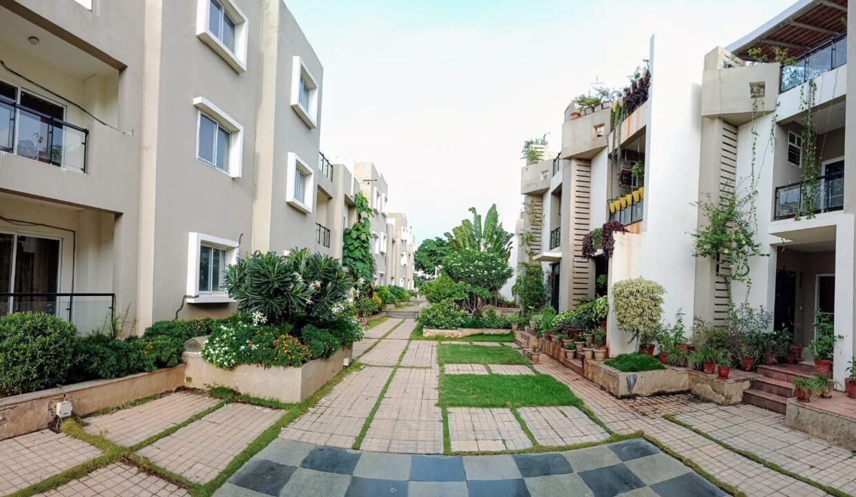 WhatsApp Image 2025-08-26 at 2.14.45 PM