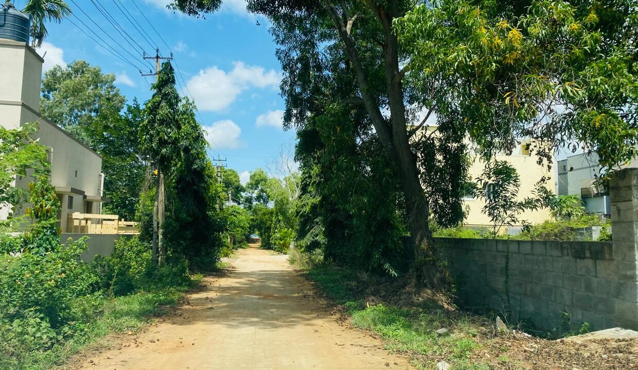 WhatsApp Image 2025-09-06 at 12.54.52 PM (1)