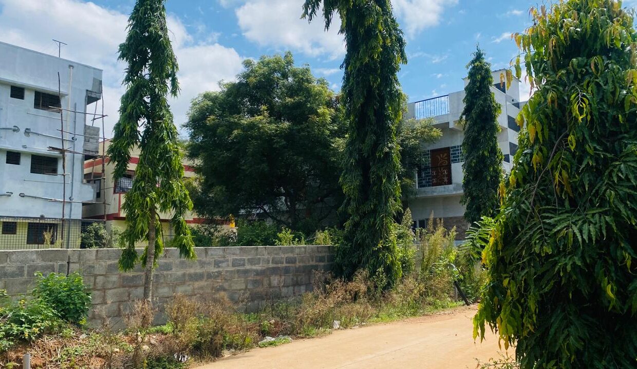 WhatsApp Image 2025-09-06 at 12.54.53 PM