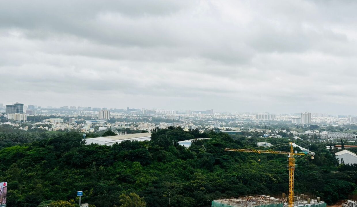 WhatsApp Image 2025-09-08 at 3.19.43 PM