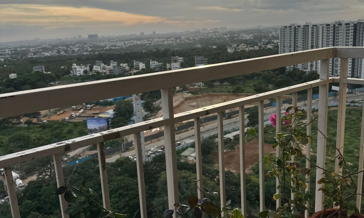 WhatsApp Image 2025-09-08 at 3.19.44 PM