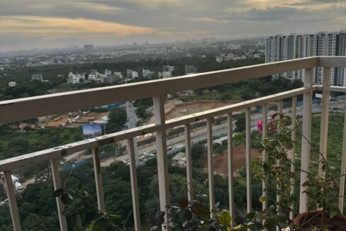 WhatsApp Image 2025-09-08 at 3.19.44 PM