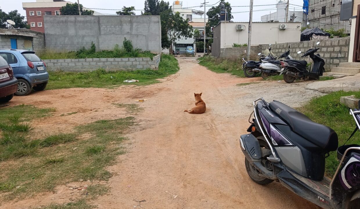 WhatsApp Image 2025-09-09 at 1.59.30 PM