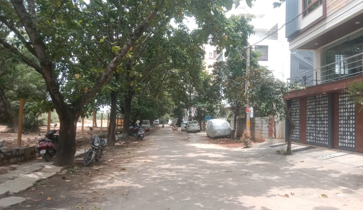 WhatsApp Image 2025-09-12 at 2.36.35 PM