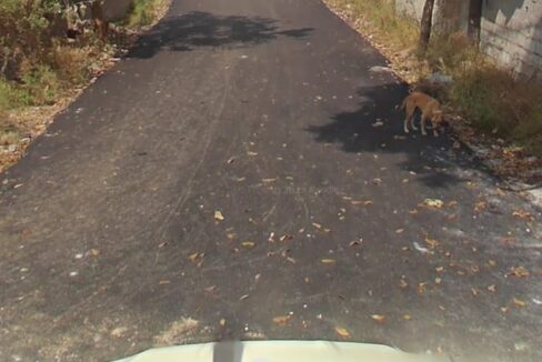 WhatsApp Image 2025-09-17 at 7.52.57 PM