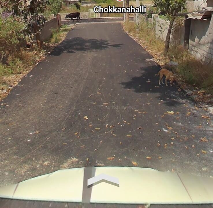 WhatsApp Image 2025-09-17 at 7.52.57 PM