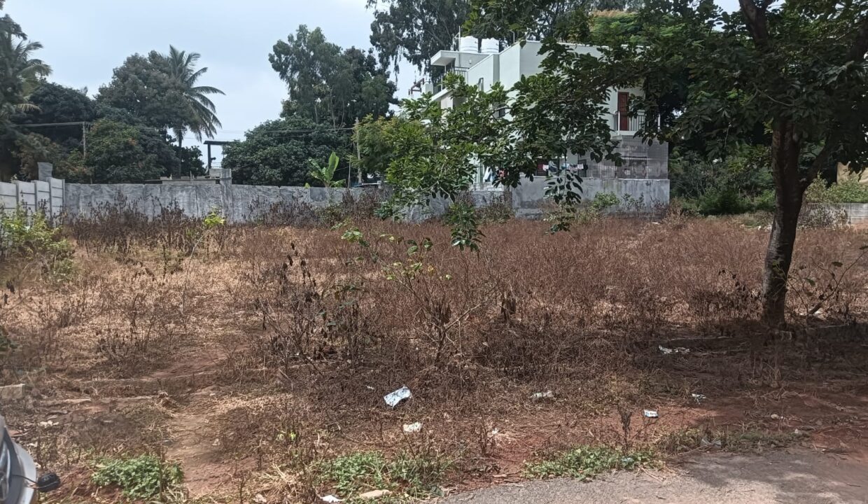 WhatsApp Image 2025-09-21 at 10.05.48 AM