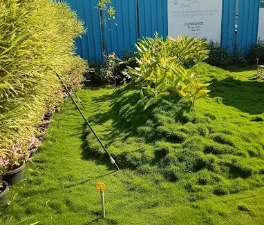 WhatsApp Image 2025-09-27 at 1.00.20 PM