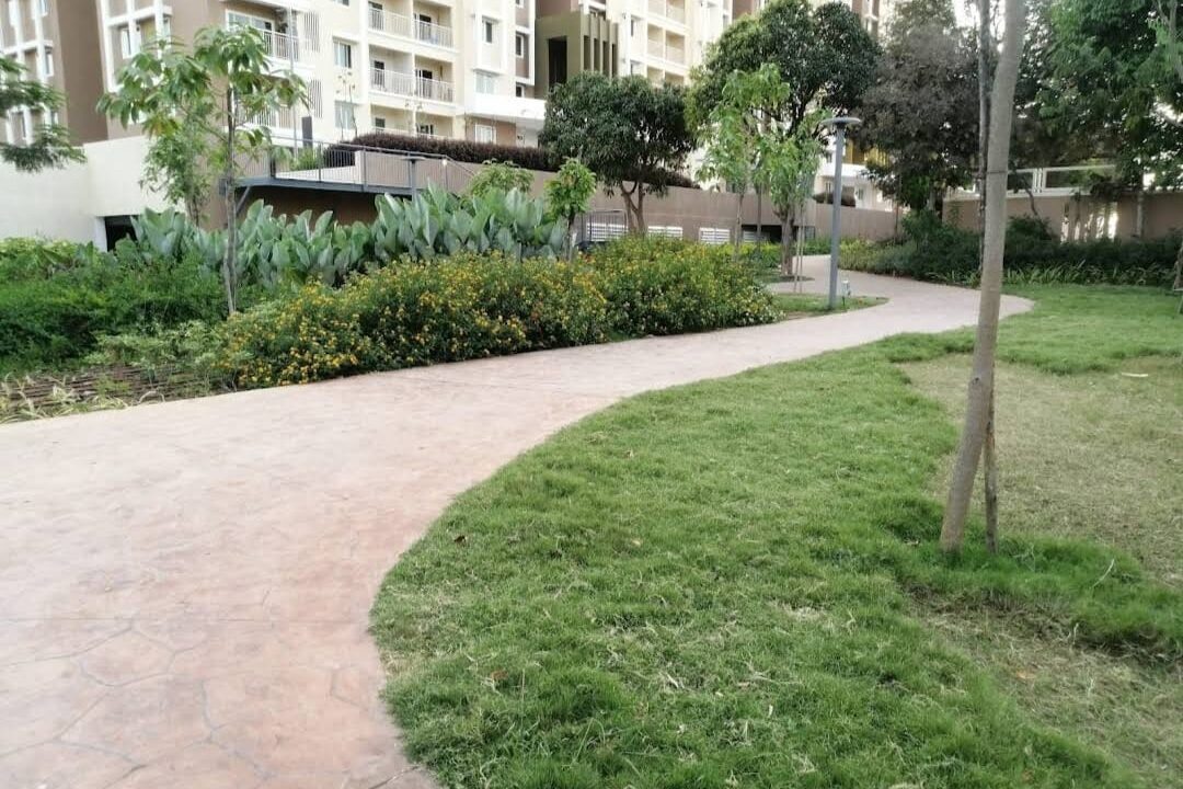 WhatsApp Image 2025-09-30 at 2.21.44 PM