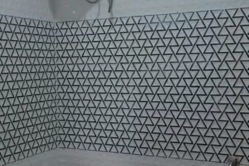 WhatsApp Image 2025-10-03 at 11.00.37 AM (2)