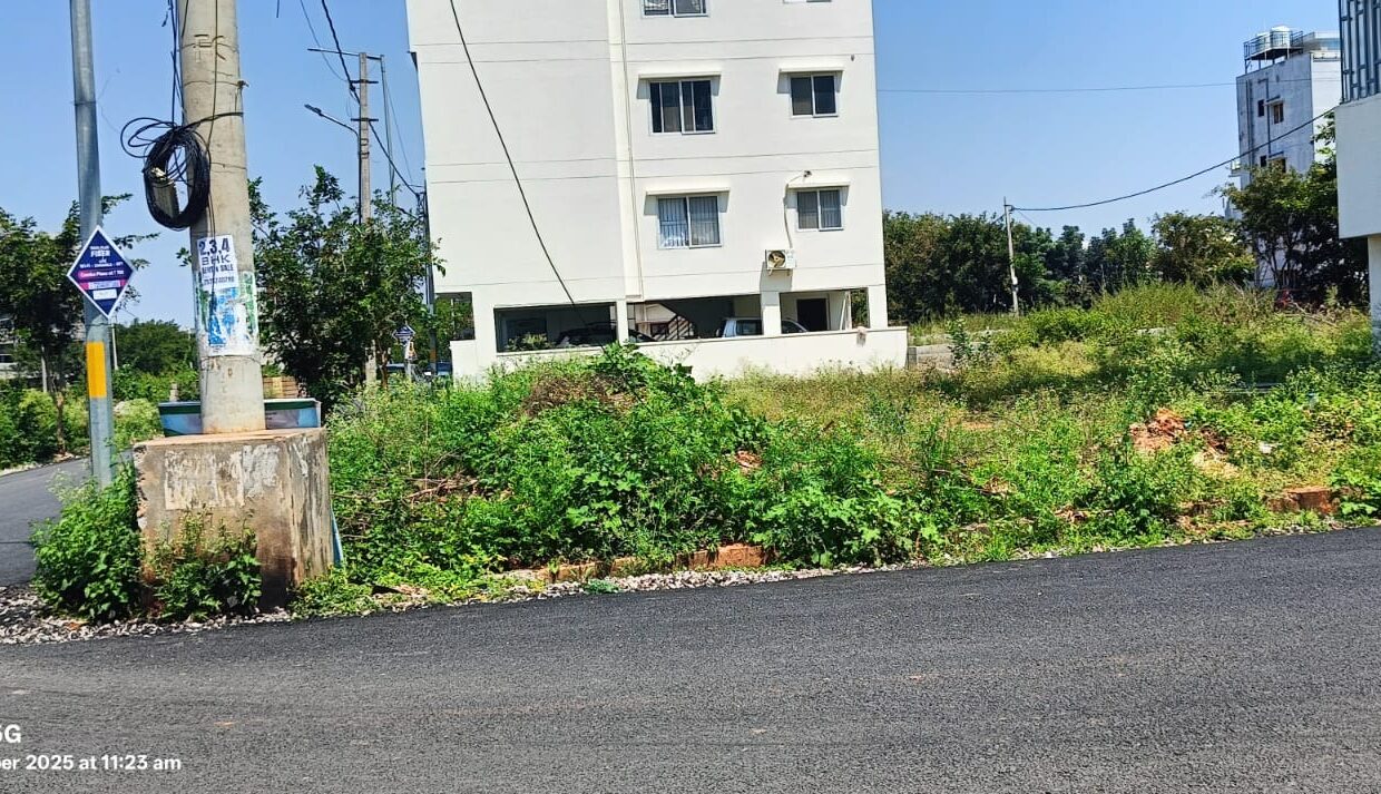 WhatsApp Image 2025-10-12 at 1.44.16 PM