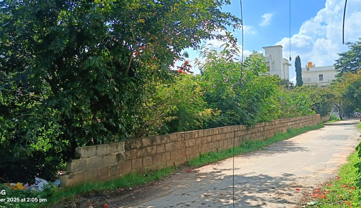 WhatsApp Image 2025-10-19 at 2.08.49 PM (1)