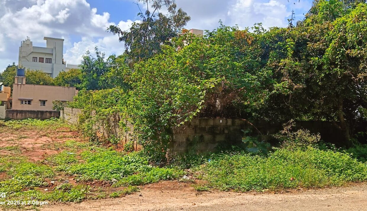 WhatsApp Image 2025-10-19 at 2.08.49 PM