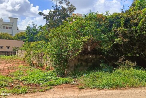 WhatsApp Image 2025-10-19 at 2.08.49 PM