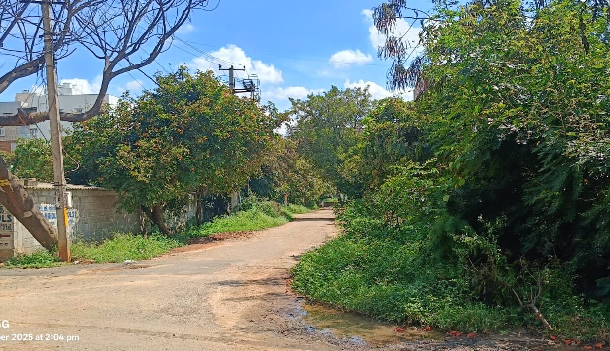 WhatsApp Image 2025-10-19 at 2.08.50 PM