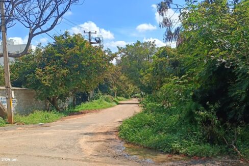 WhatsApp Image 2025-10-19 at 2.08.50 PM