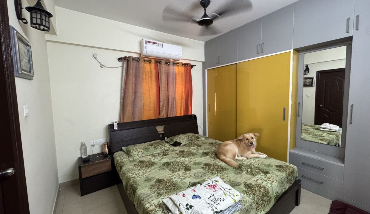 0A63DBA0-5626-4703-9BF9-0548BFDB9AF4