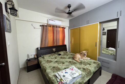 0A63DBA0-5626-4703-9BF9-0548BFDB9AF4