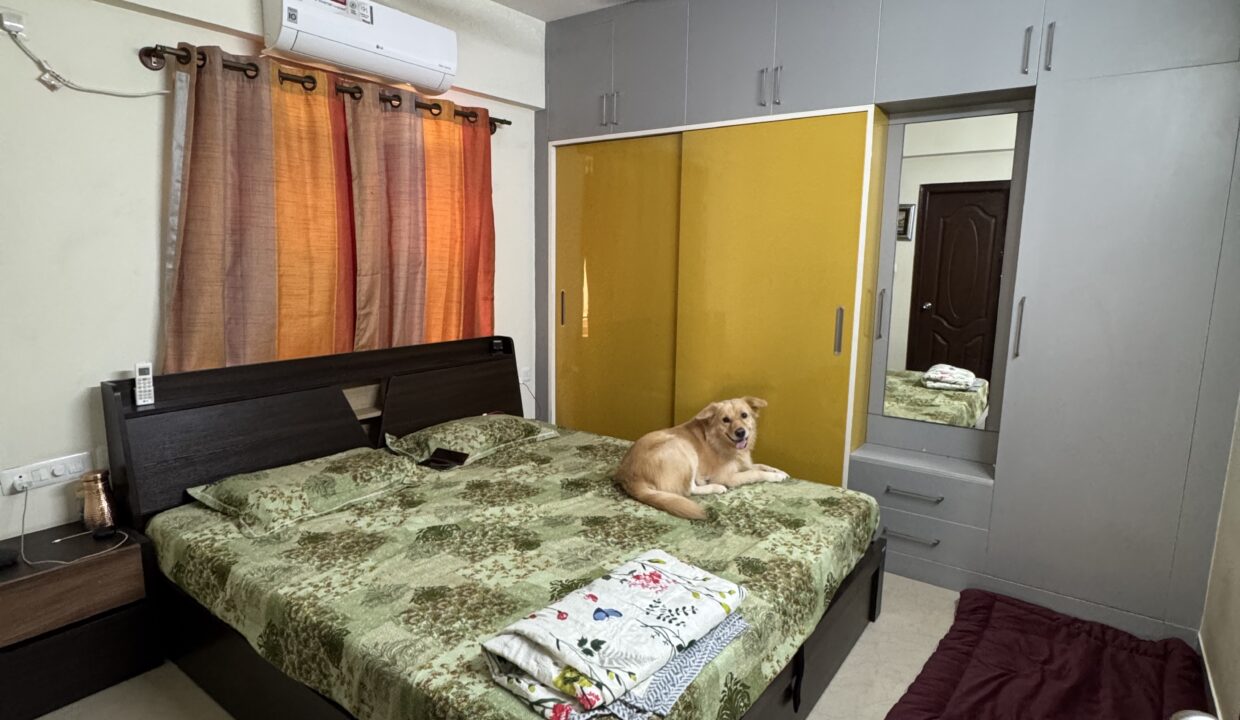 E36C316C-5019-4873-AB0B-15F3ED2BFF55 (1)