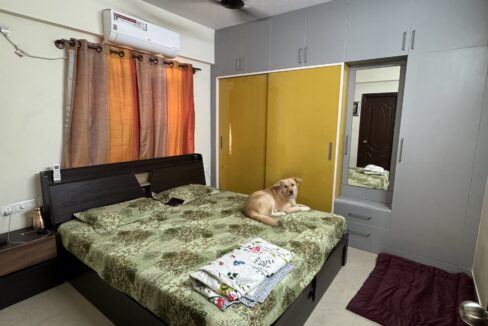 E36C316C-5019-4873-AB0B-15F3ED2BFF55 (1)