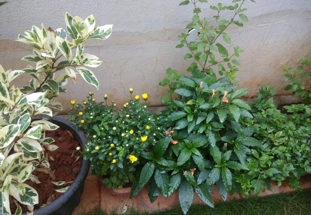 WhatsApp Image 2025-10-22 at 3.12.42 PM (2)