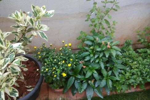 WhatsApp Image 2025-10-22 at 3.12.42 PM (2)