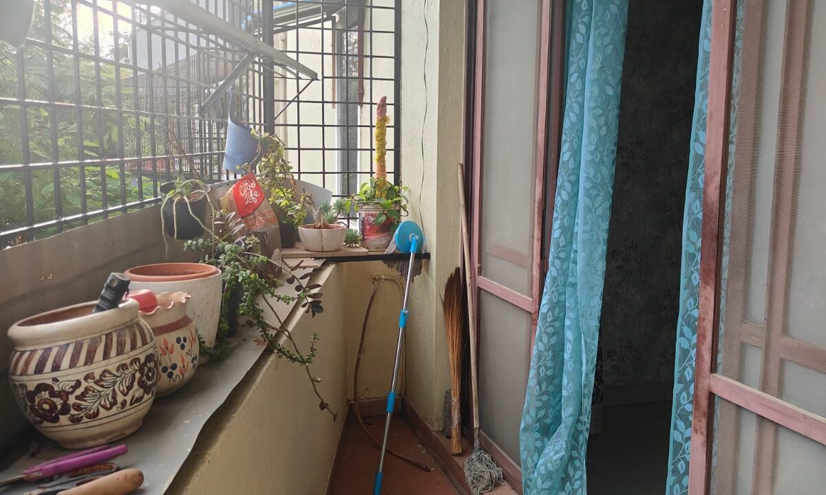 WhatsApp Image 2025-11-02 at 3.14.43 PM