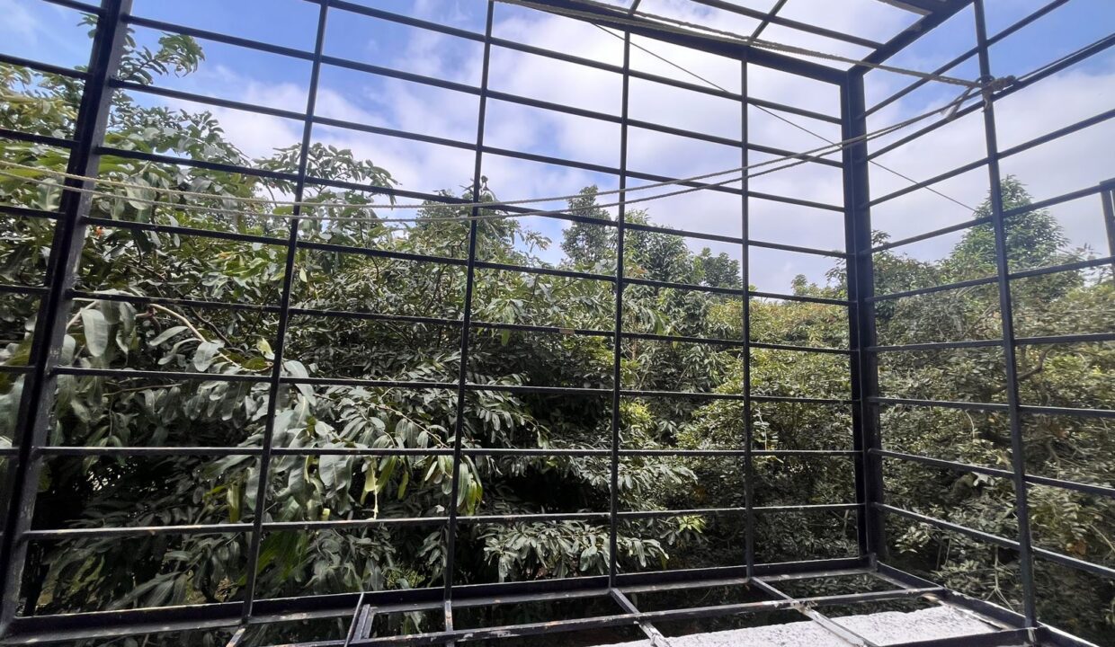 WhatsApp Image 2025-11-03 at 2.07.43 PM (1)