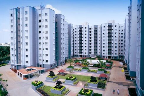 WhatsApp Image 2025-11-04 at 11.22.13 PM (1)