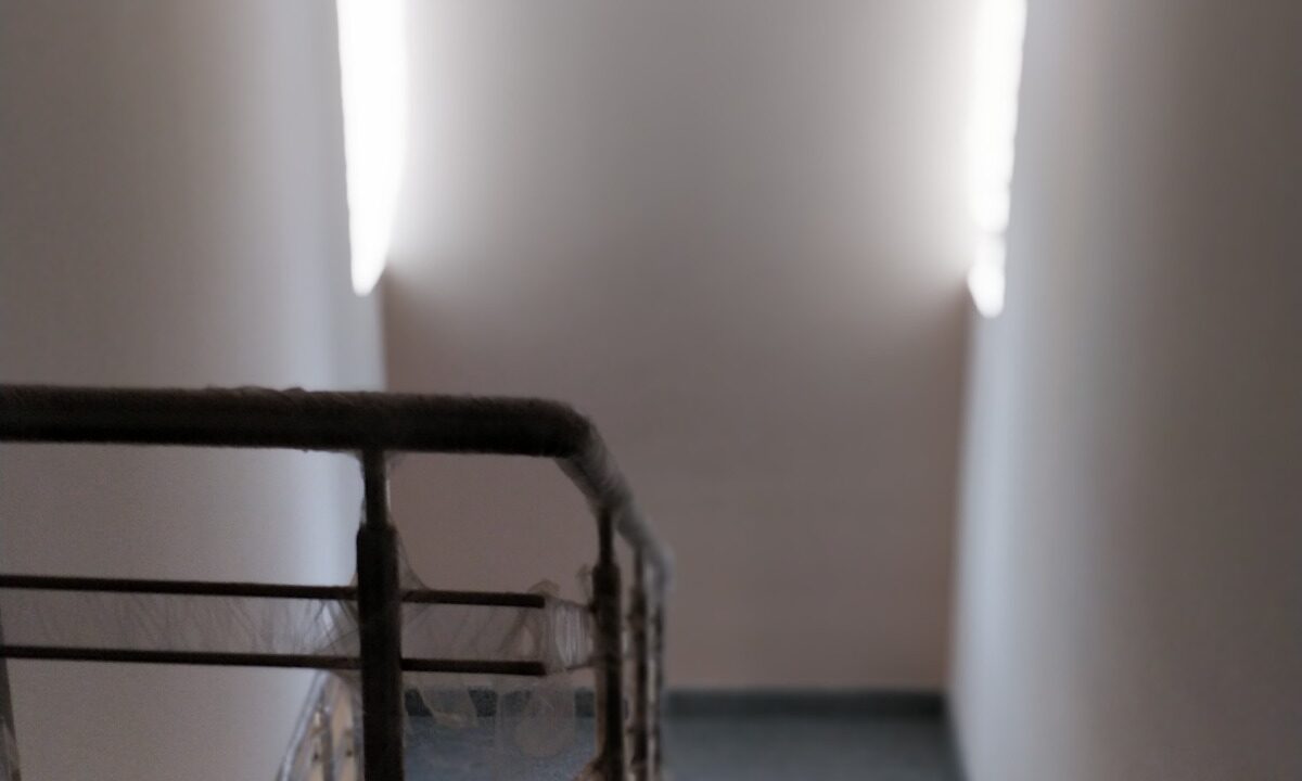 WhatsApp Image 2025-11-05 at 5.05.19 AM