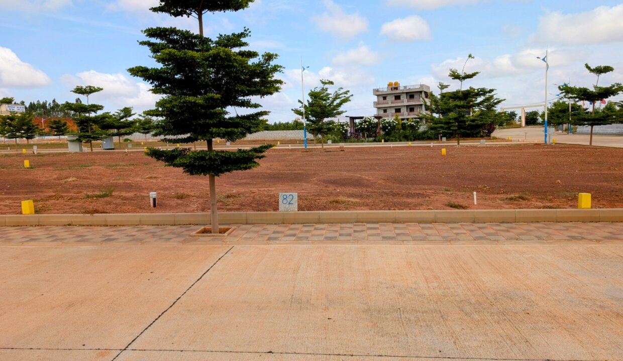 WhatsApp Image 2025-11-06 at 20.21.26