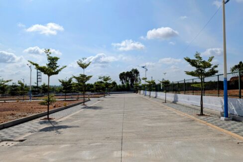 WhatsApp Image 2025-11-06 at 20.21.27 (1)