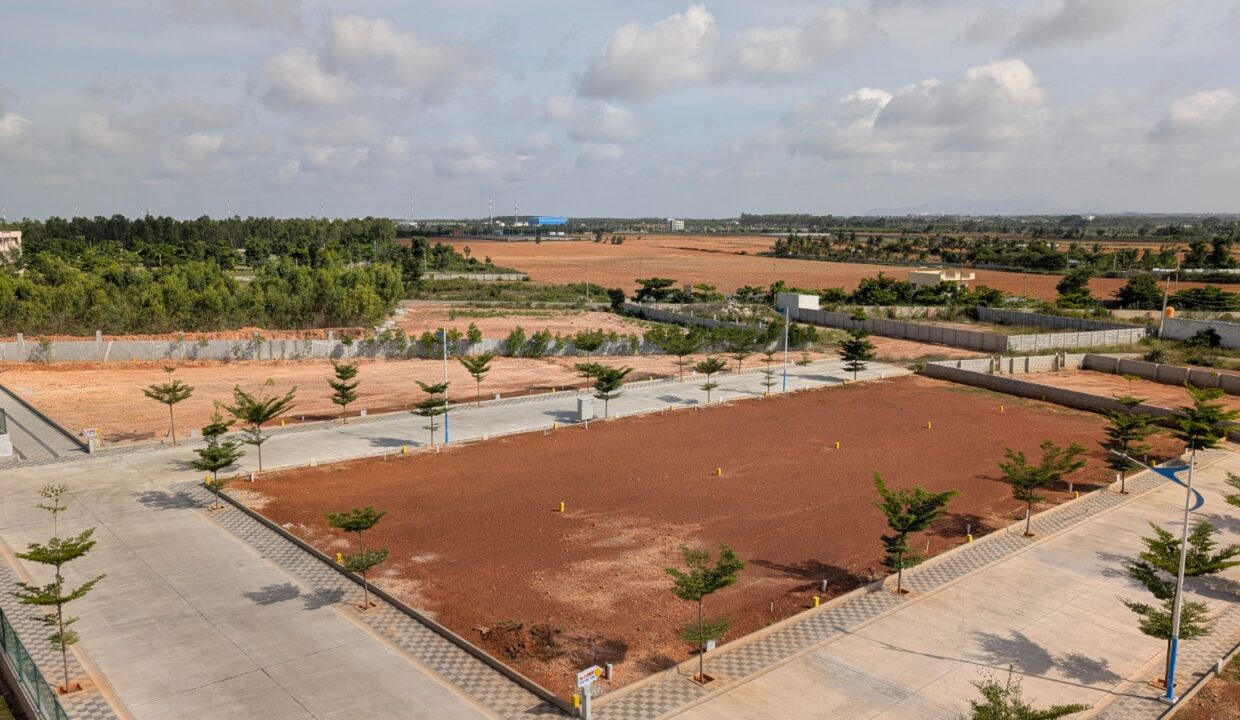 WhatsApp Image 2025-11-06 at 20.21.29