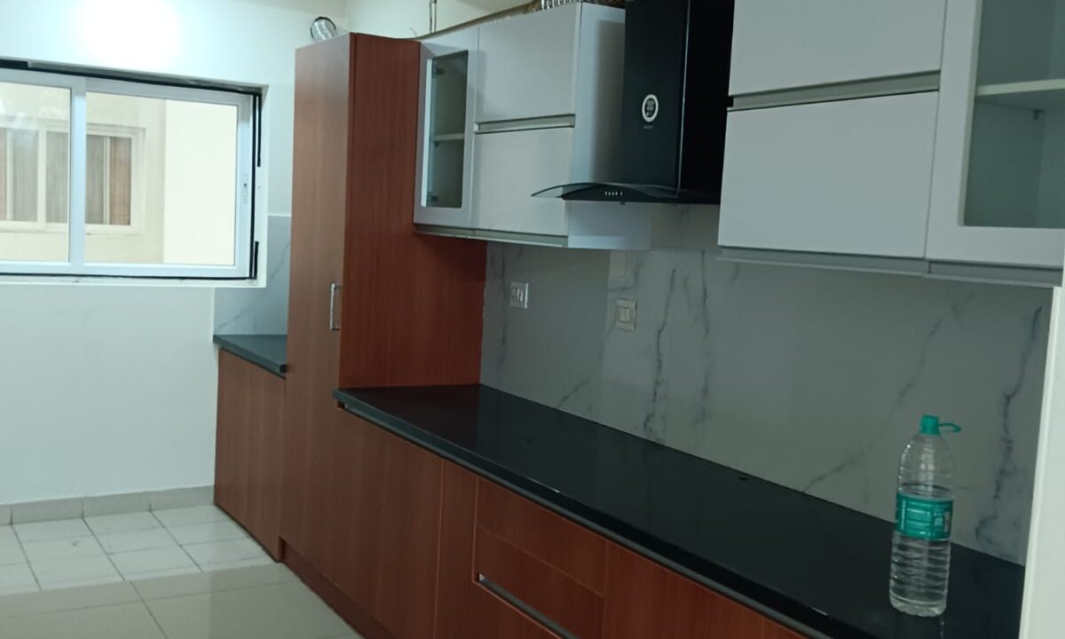 WhatsApp Image 2025-11-08 at 1.19.01 PM