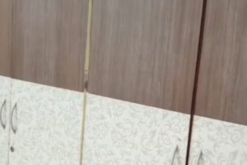 WhatsApp Image 2025-11-10 at 2.31.47 PM (2)