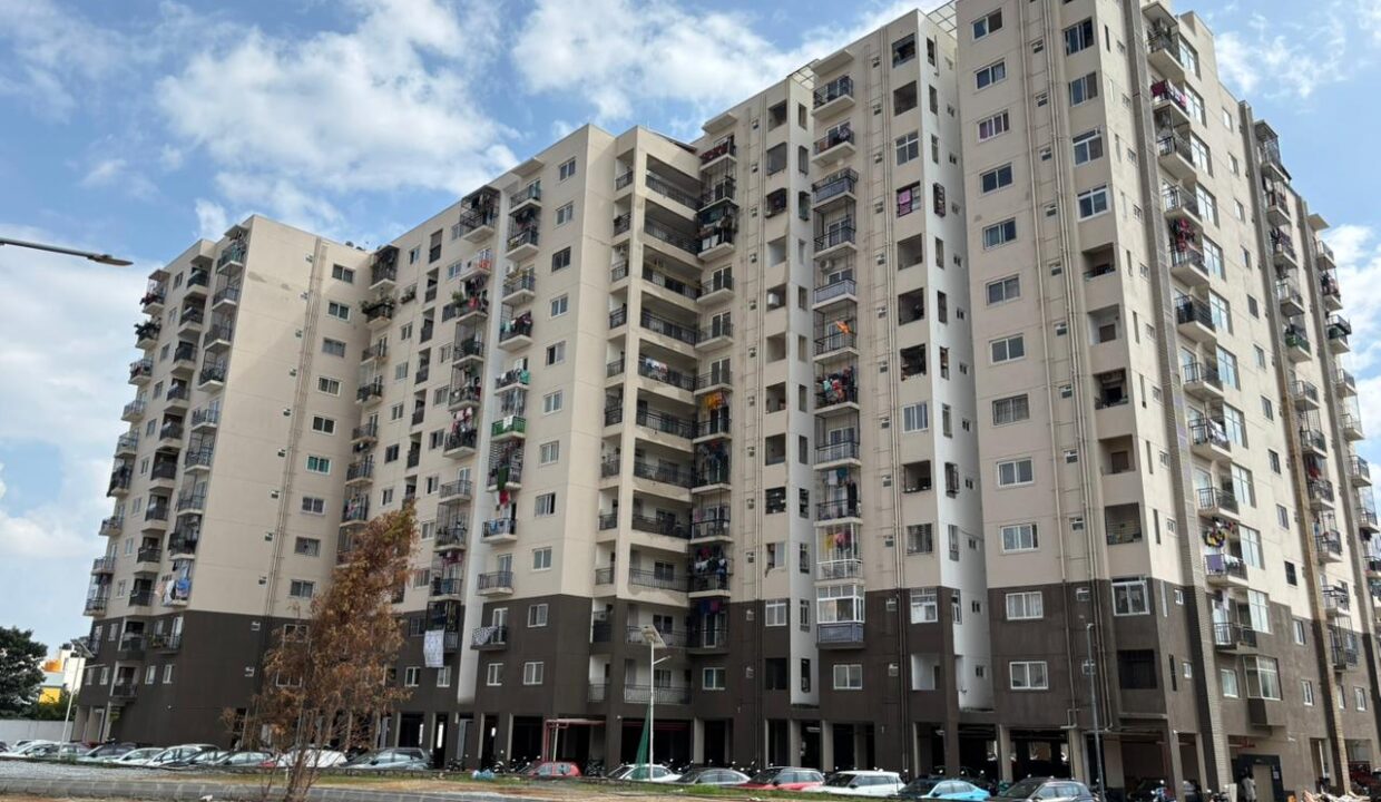 WhatsApp Image 2025-11-13 at 10.51.41 AM