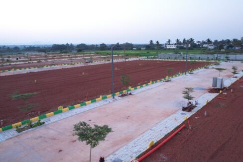 WhatsApp Image 2025-11-15 at 14.22.30